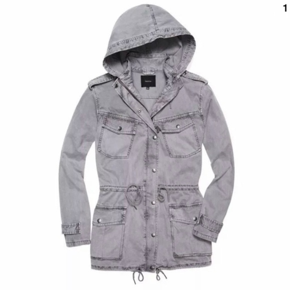 Aritzia trooper jacket